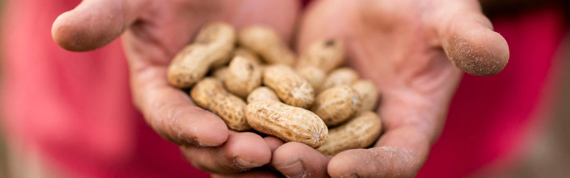 The World's Most Remarkable Crunch